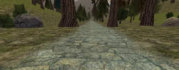 The forest road to Bandit Castle
