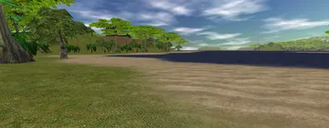 The beach at Freehold