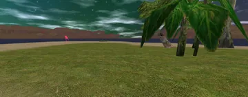 Stars over the beach at Freehold (night)