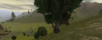 Hillside near Kara