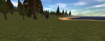 Pines on the coast near the Outpost