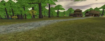 Sawato, in the forest