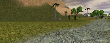 Uziz, among the palms